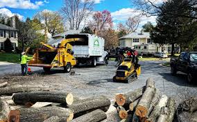 Best Leaf Removal  in Rockton, IL